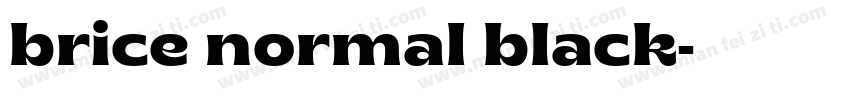 brice normal black字体转换